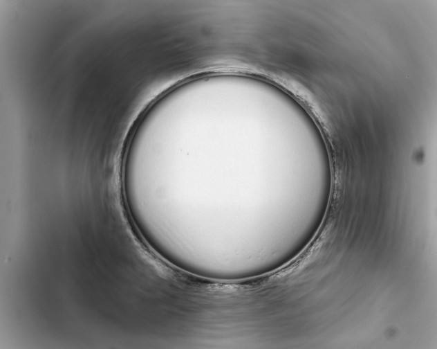 X0000103261231200809191711