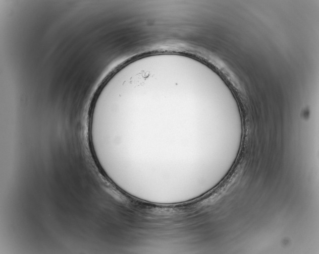 X0000103261232200809191711