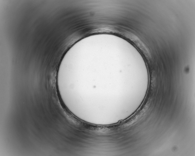 X0000103261233200809191711