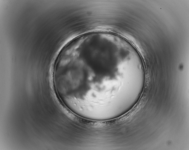 X0000103261235200809191711