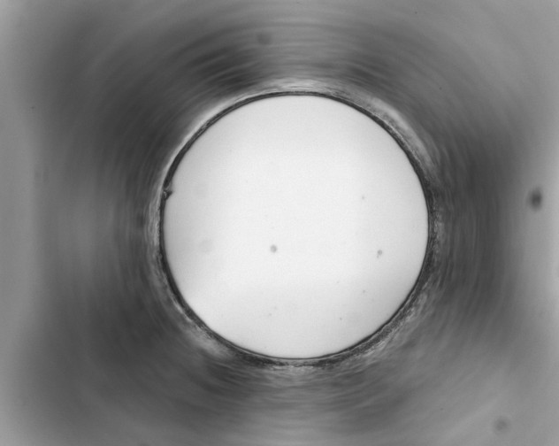 X0000103261236200809191711