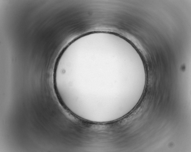 X0000103261237200809191711