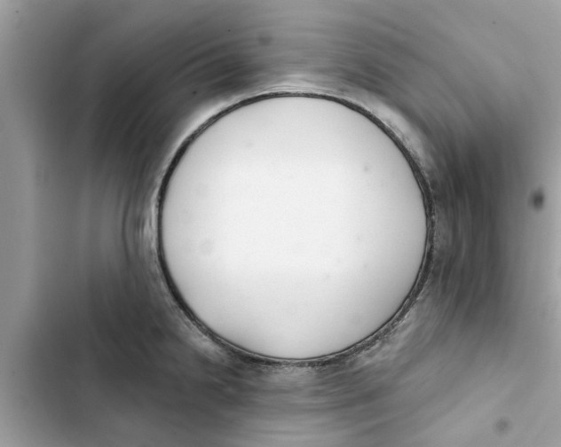 X0000103261238200809191711