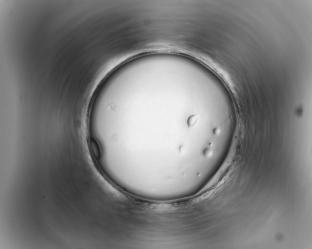 X0000103261239200809191711