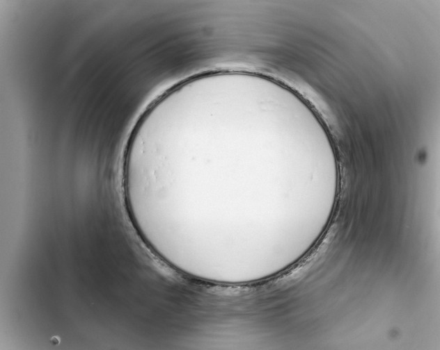 X0000103261240200809191711