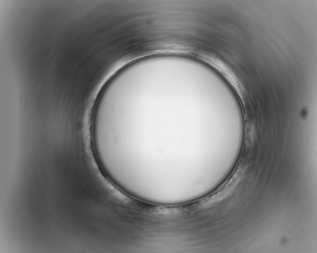 X0000103261243200809191711