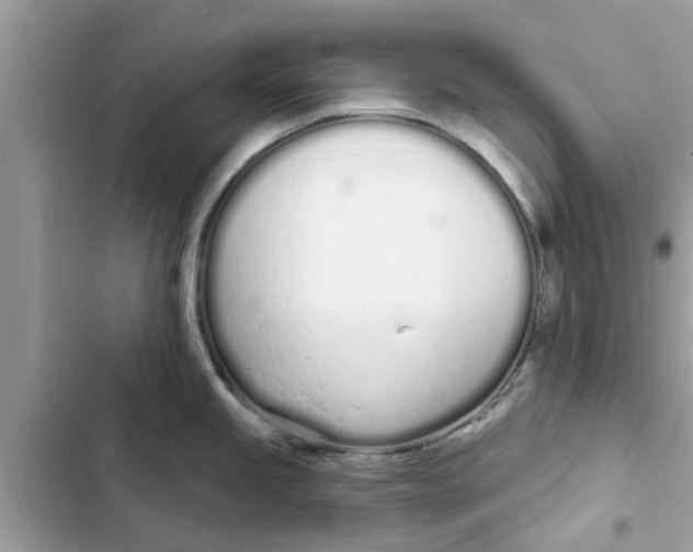 X0000103261245200809191711