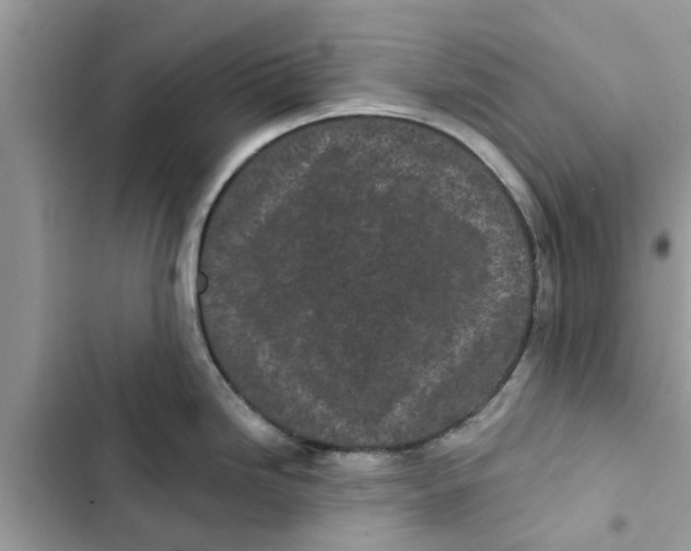 X0000103261246200809191711