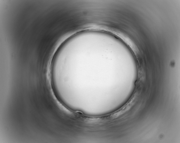 X0000103261247200809191711