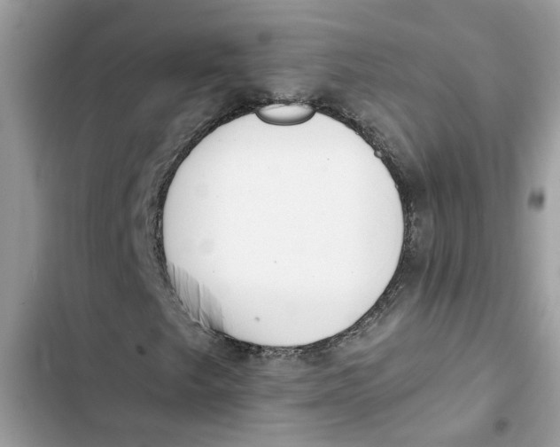 X0000103261249200809191710