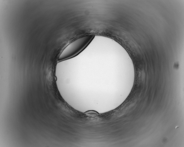 X0000103261250200809191710