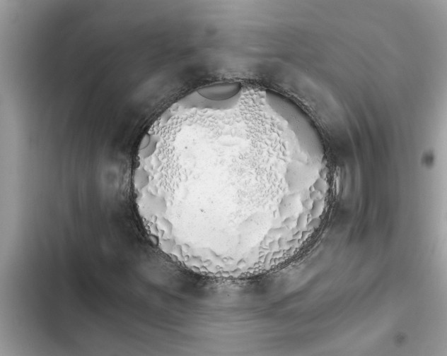 X0000103261251200809191710