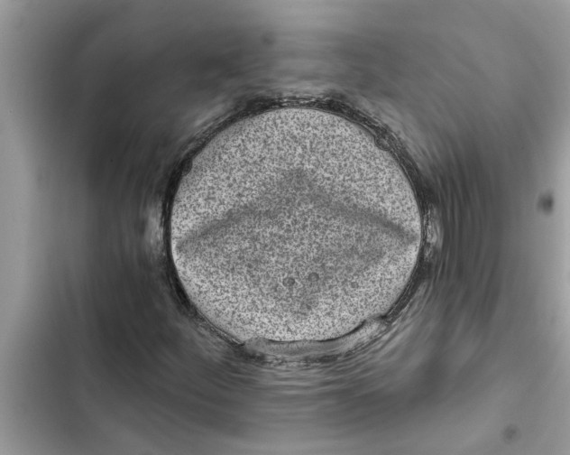 X0000103261252200809191710