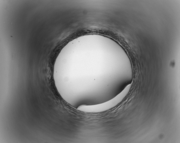 X0000103261253200809191710