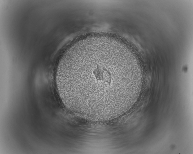 X0000103261254200809191710