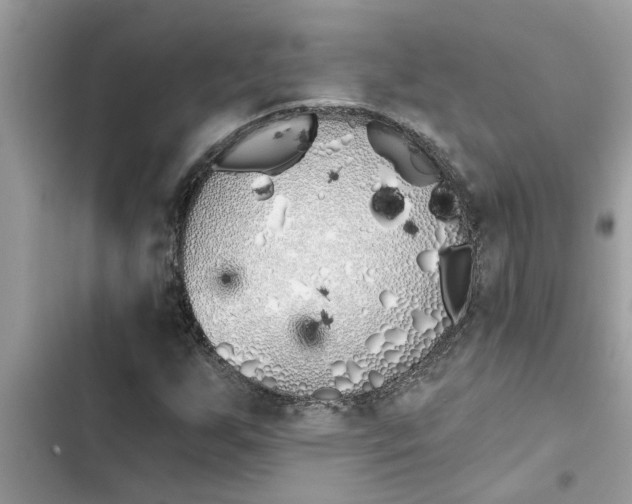 X0000103261255200809191710