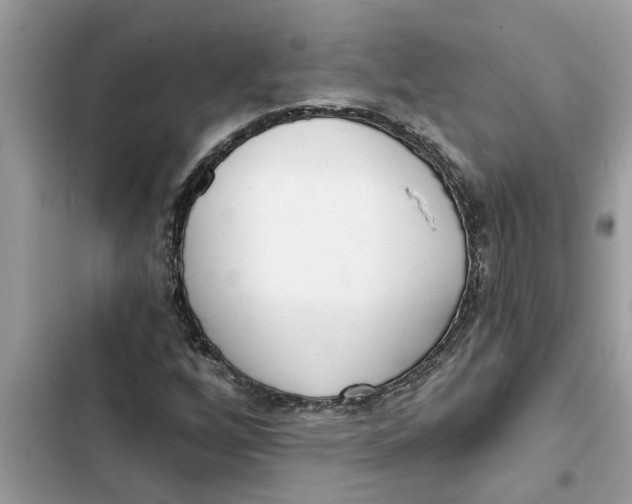 X0000103261256200809191710