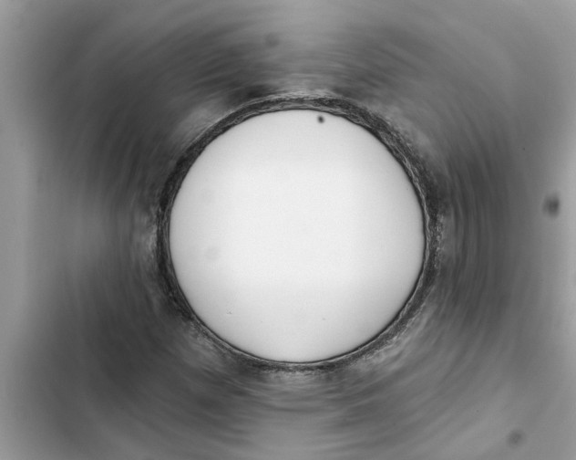 X0000103261257200809191710