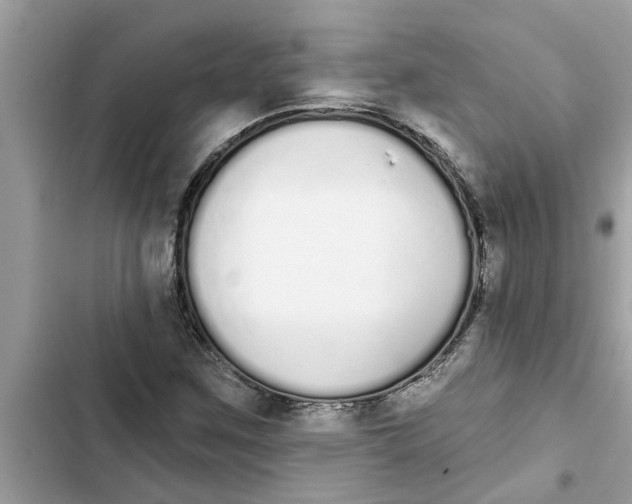 X0000103261259200809191710