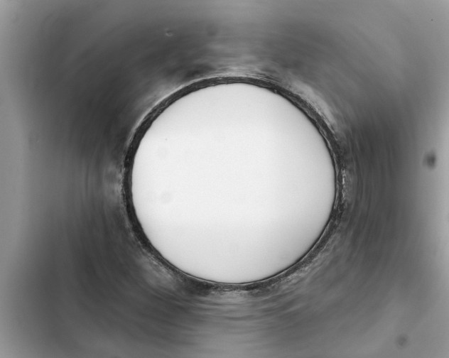 X0000103261260200809191710