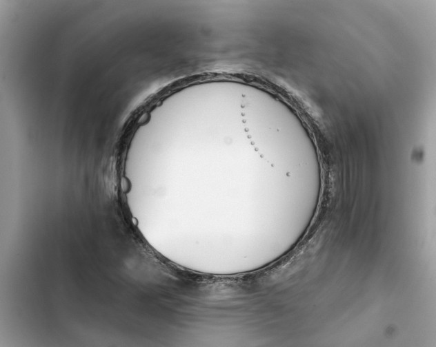 X0000103261262200809191710