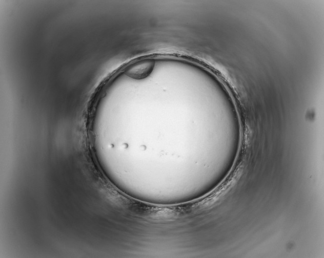 X0000103261263200809191710