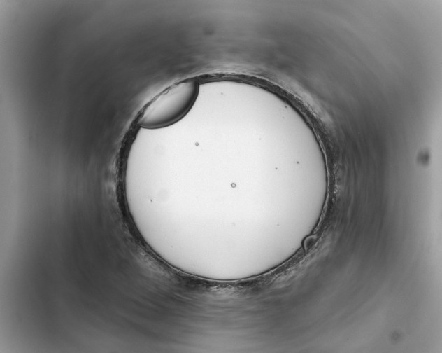 X0000103261264200809191710