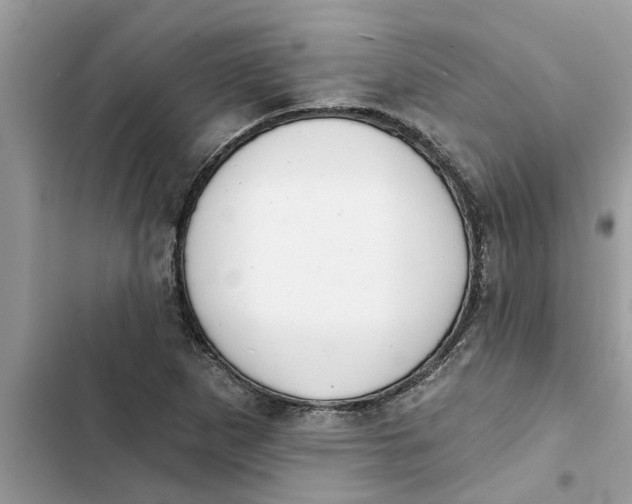 X0000103261265200809191710