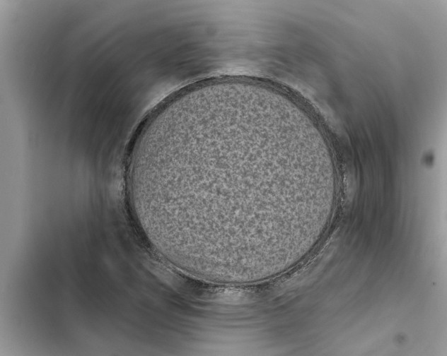 X0000103261266200809191710