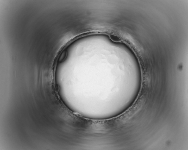 X0000103261267200809191710