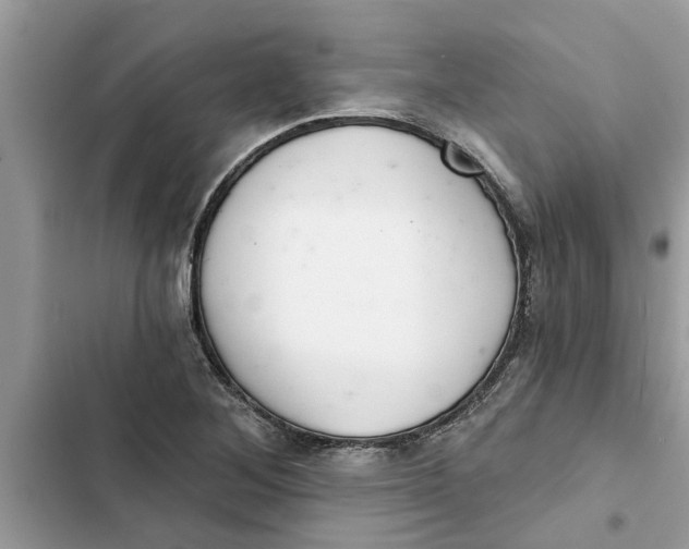 X0000103261268200809191710