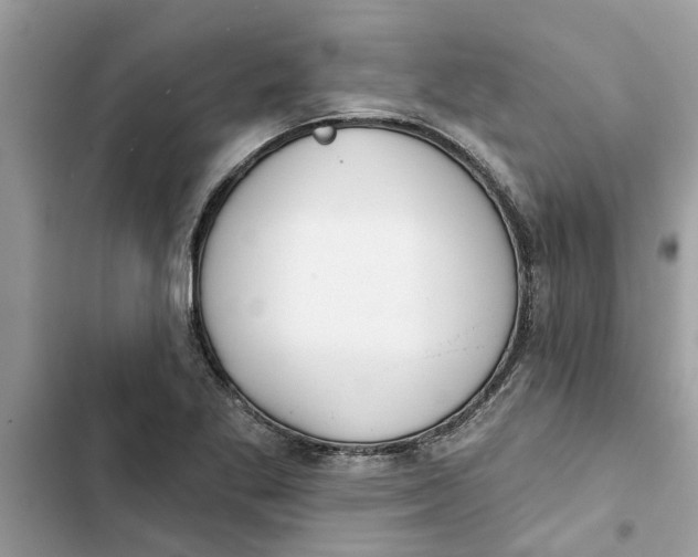 X0000103261269200809191710