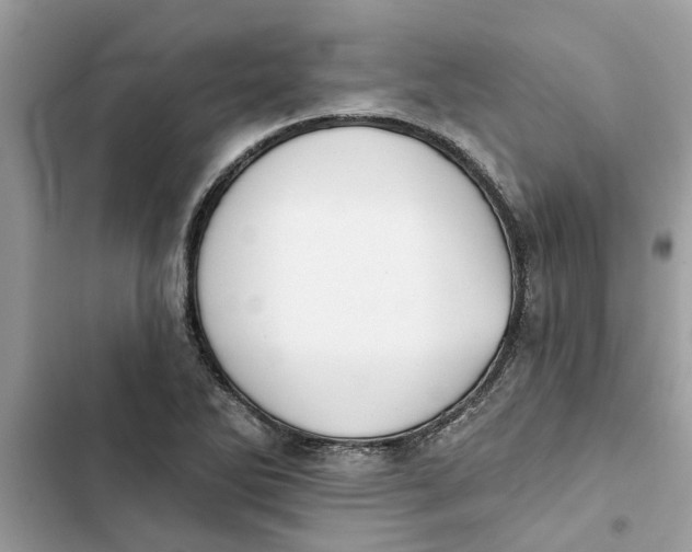 X0000103261270200809191710