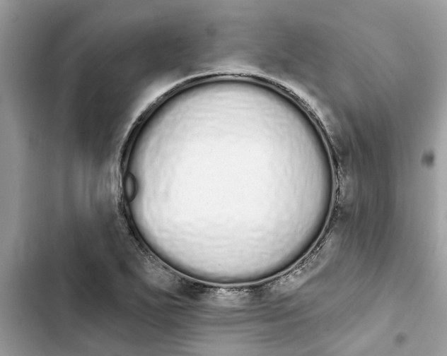 X0000103261271200809191710