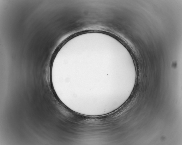 X0000103261272200809191710