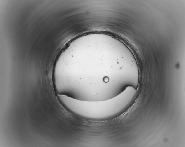 X0000103261273200809191710