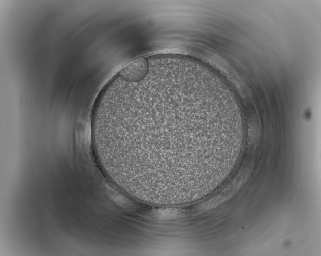 X0000103261274200809191710