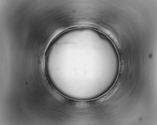 X0000103261275200809191710