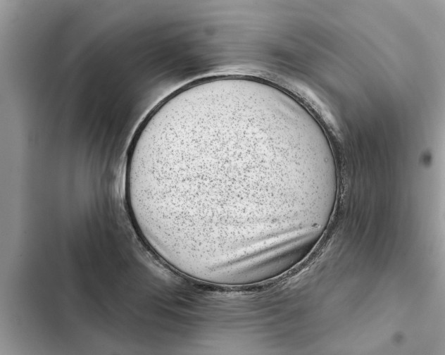 X0000103261276200809191710