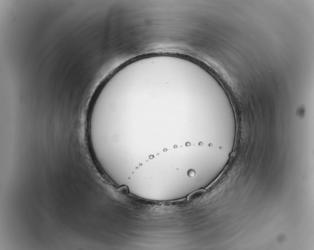 X0000103261277200809191710