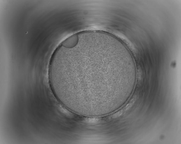 X0000103261278200809191710