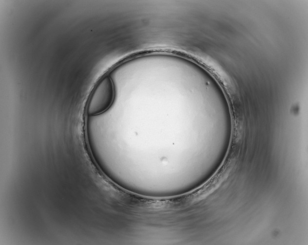 X0000103261279200809191710