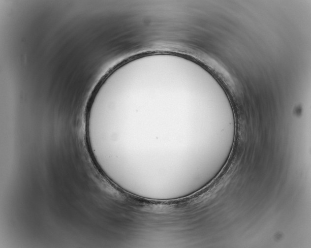 X0000103261280200809191710