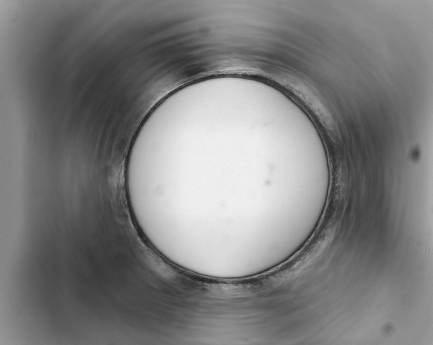 X0000103261281200809191710