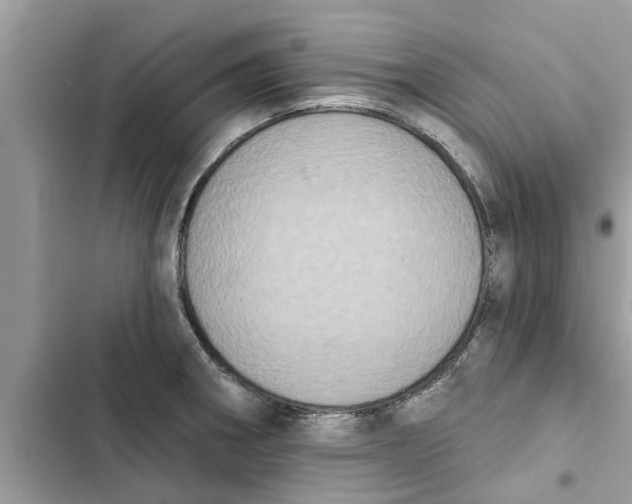 X0000103261282200809191710