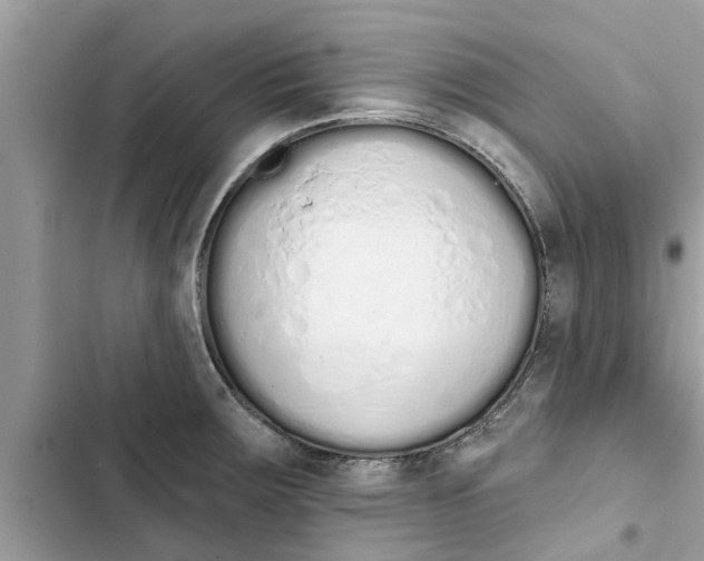 X0000103261283200809191710