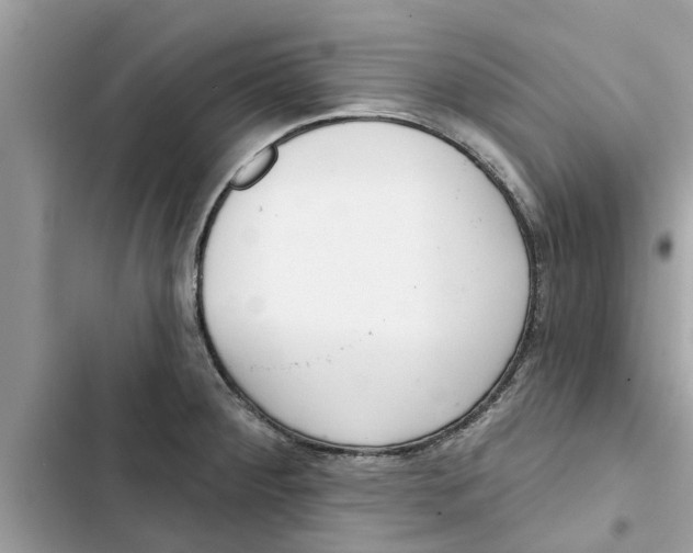 X0000103261284200809191710