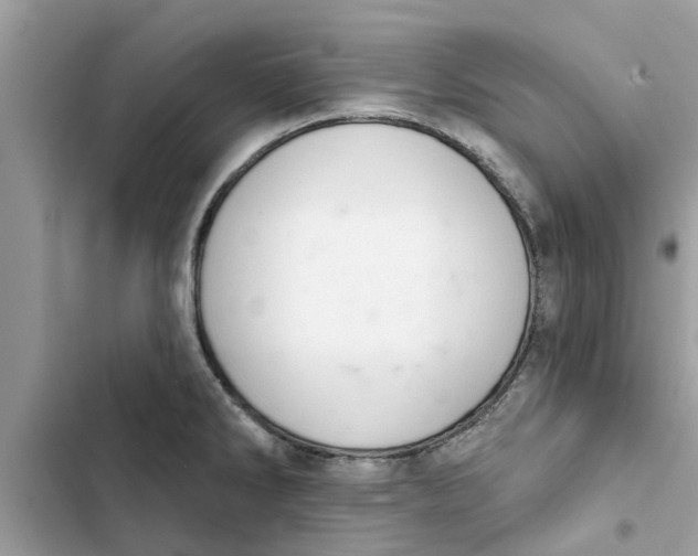 X0000103261286200809191710