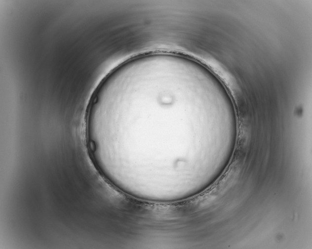 X0000103261287200809191710