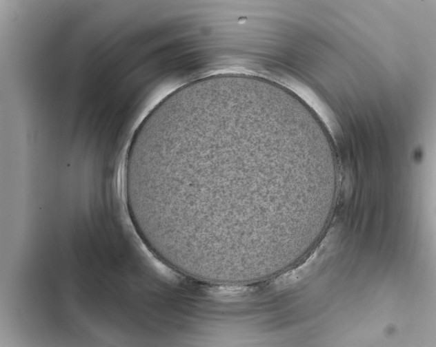 X0000103261290200809191710